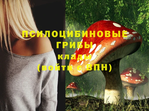2c-b Заводоуковск