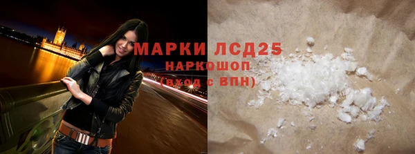 прущие грибы Заволжье
