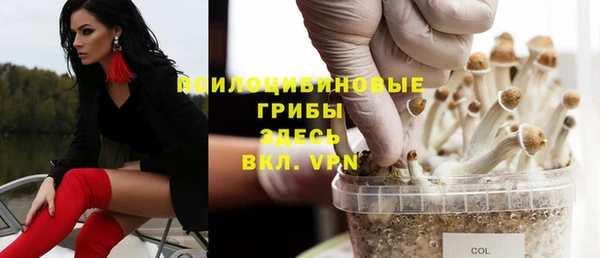 spice Заволжск