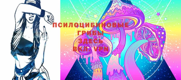 2c-b Заводоуковск