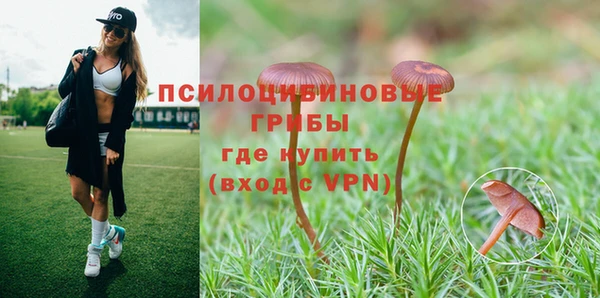 spice Заволжск