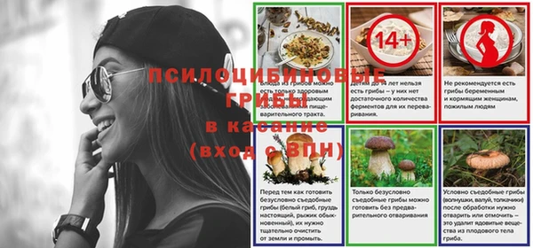 2c-b Заводоуковск