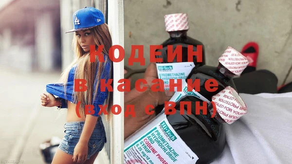 прущие грибы Заволжье