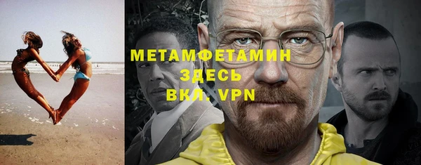 прущие грибы Заволжье